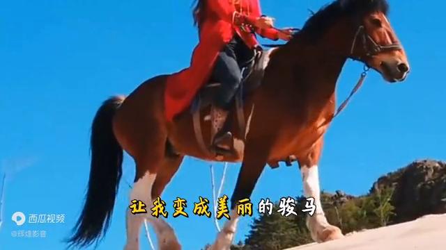 2010年春晚凤凰传奇以其独特的风格完美演绎《天蓝蓝》