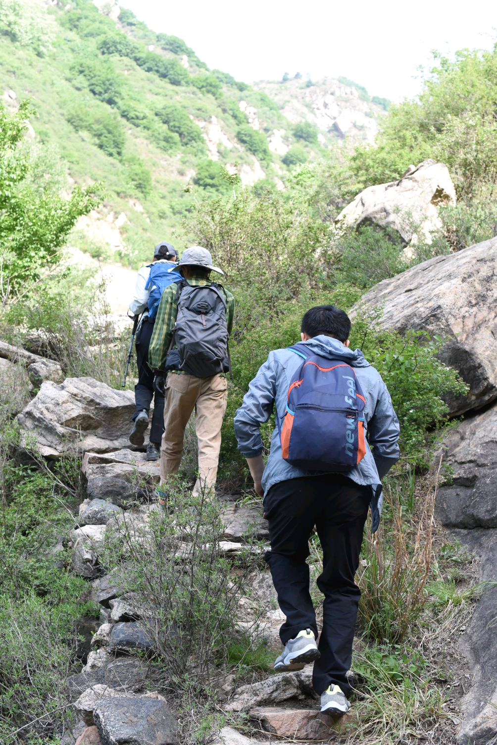 灵寿驼沟行并序