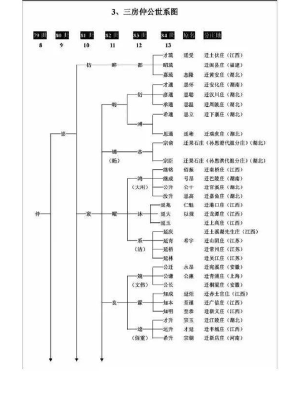 义门陈氏291庄世系图图片