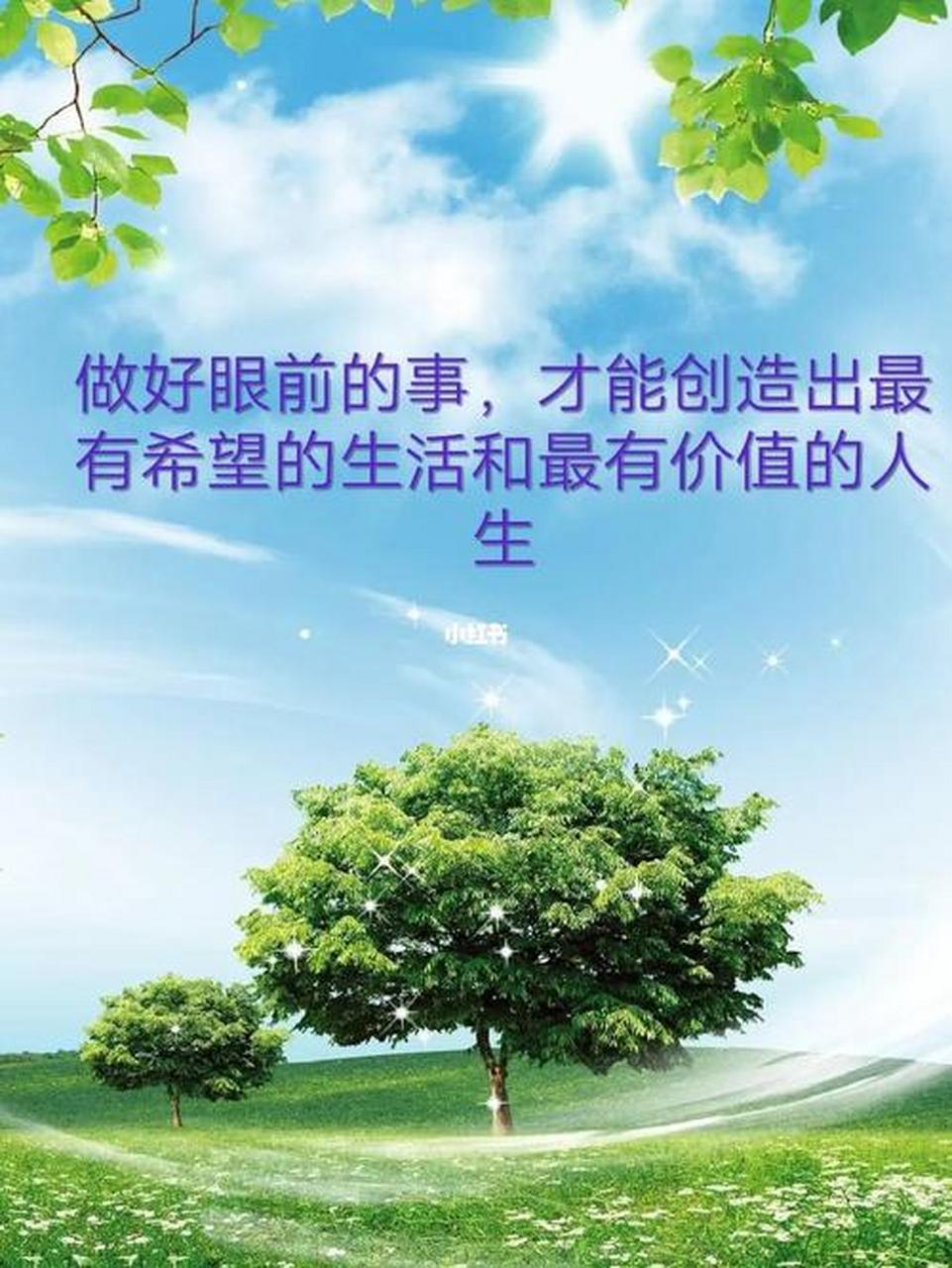 动态连更挑战#  正能量人生感悟: *珍惜眼前,活在当下,便是最好的