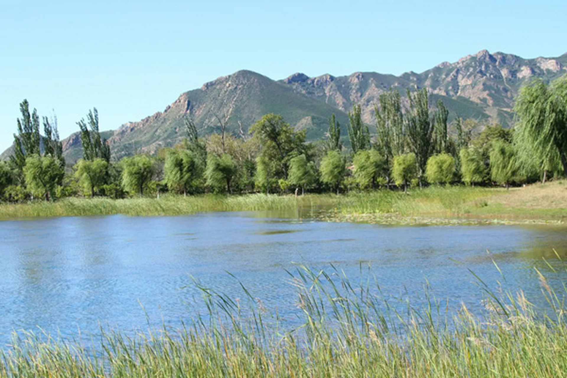 呼和浩特夏季旅游景点推荐 1,内蒙古敕勒川草原文化旅游区(哈素海)
