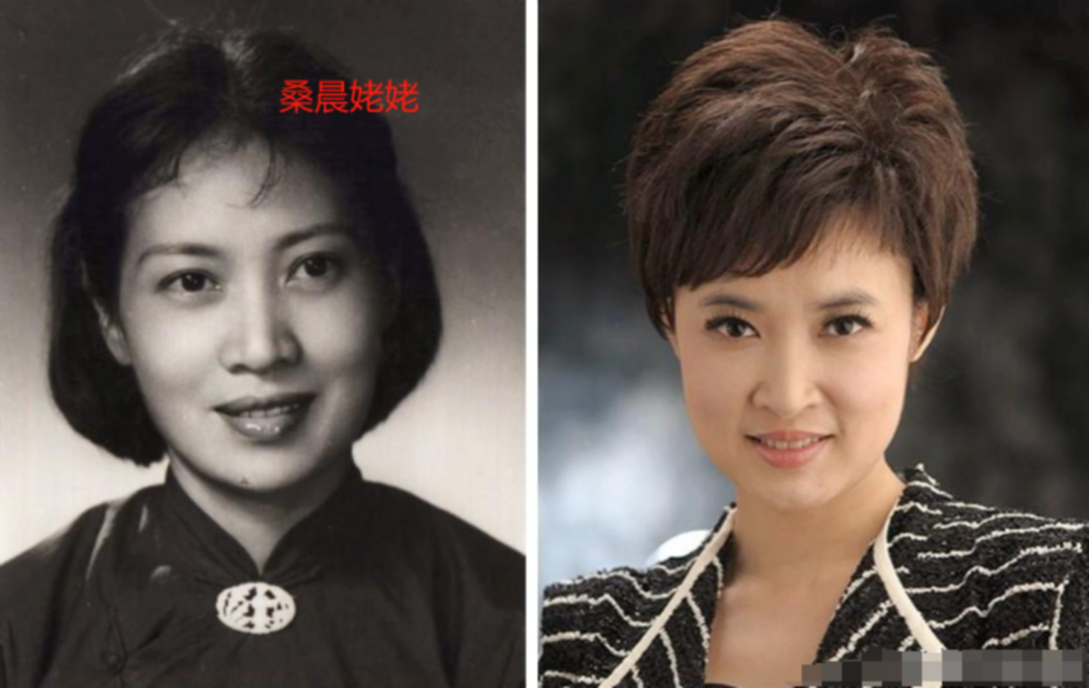 主持人桑晨:爷爷是知名导演桑夫,21岁进央视,工作30年零失误