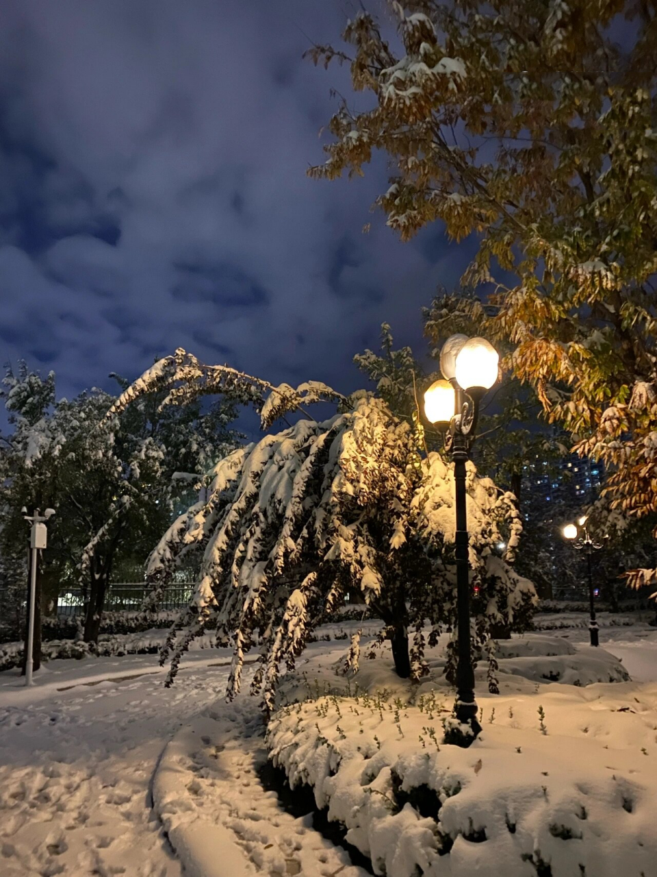 雨雪交加的夜晚图片图片