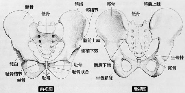 回顾 从进化来看