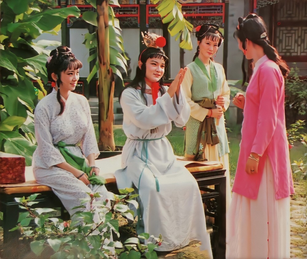 《红楼梦》中,宝玉的丫鬟们梦想成为他的妾室,但最终免不了梦想起灭