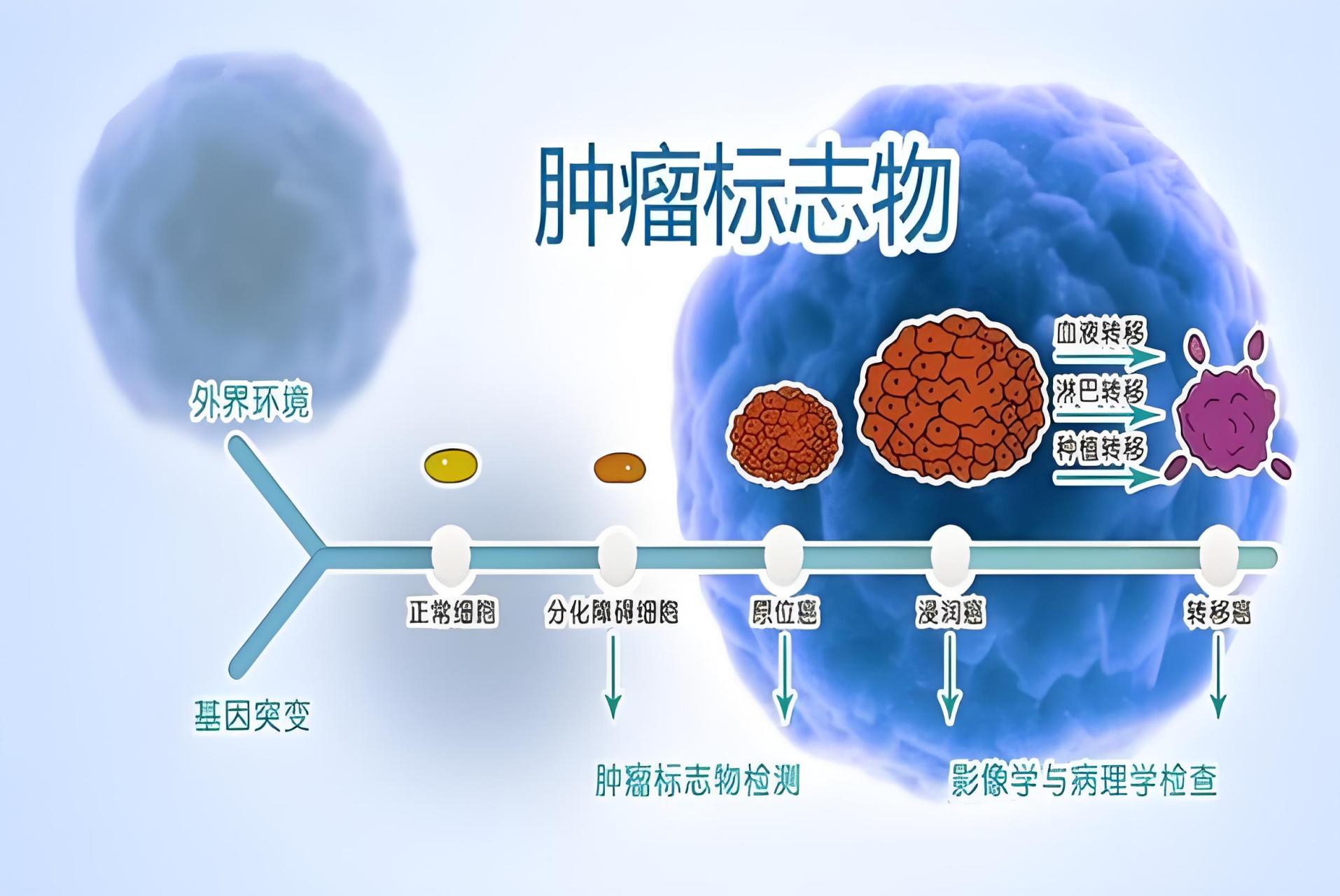 肿瘤标志物升高不可怕,但这2种情况不得不防  第一,肿瘤标志物是很高