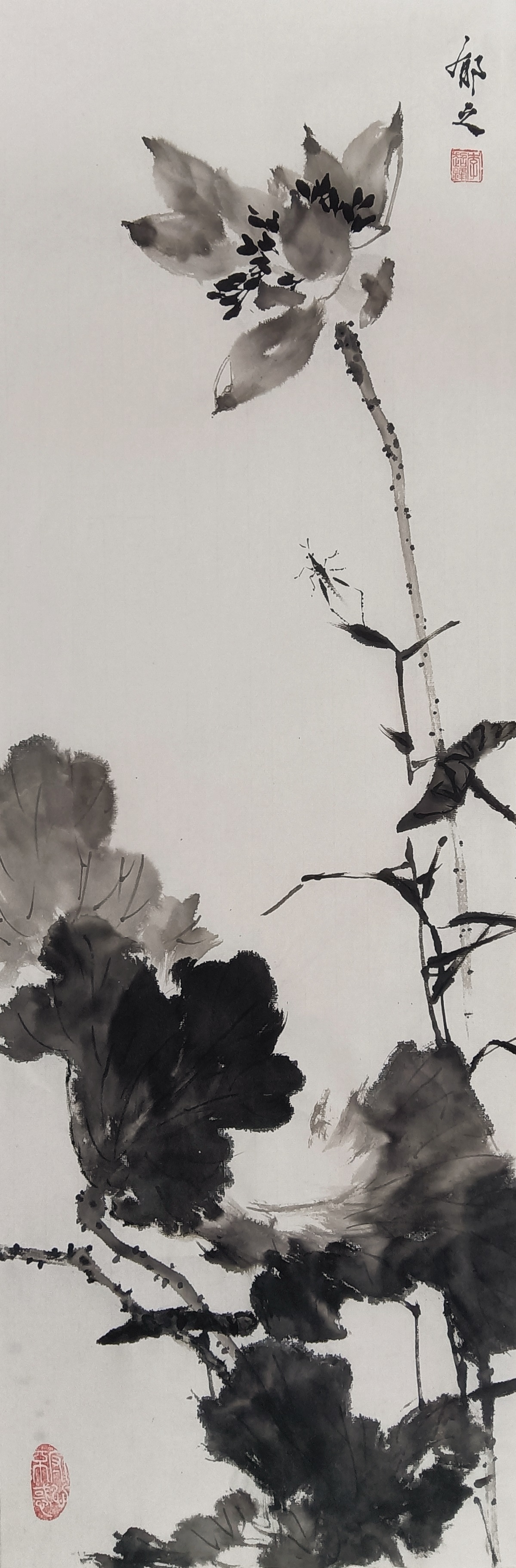 0522荷花专栏更新内容 窄条画面,无论横幅竖幅,本身就有方向感.