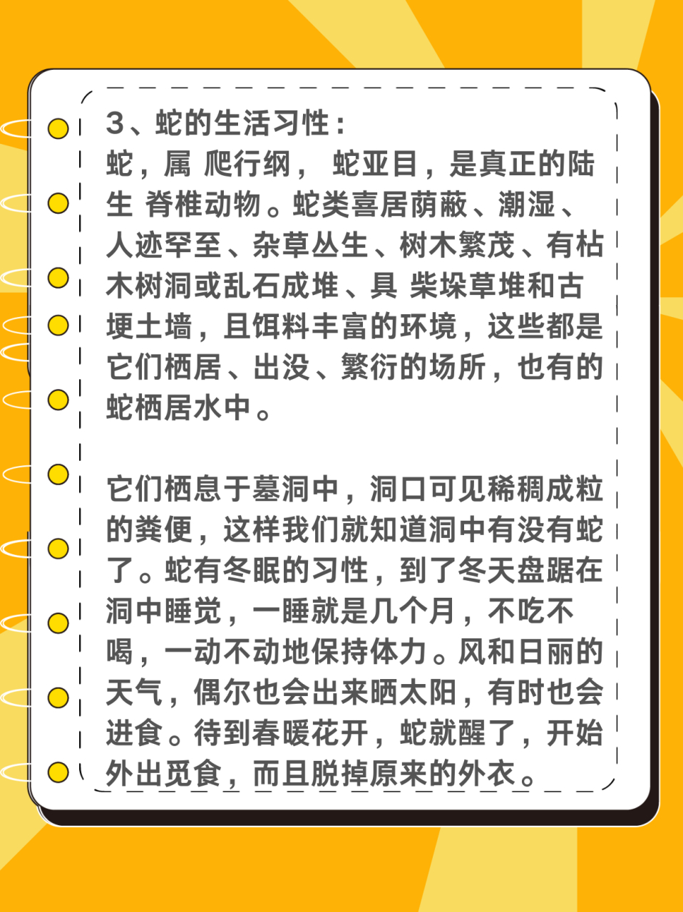 反常的动物是什么生肖   在十二生肖的奇妙世界里,每个生肖都有其独特