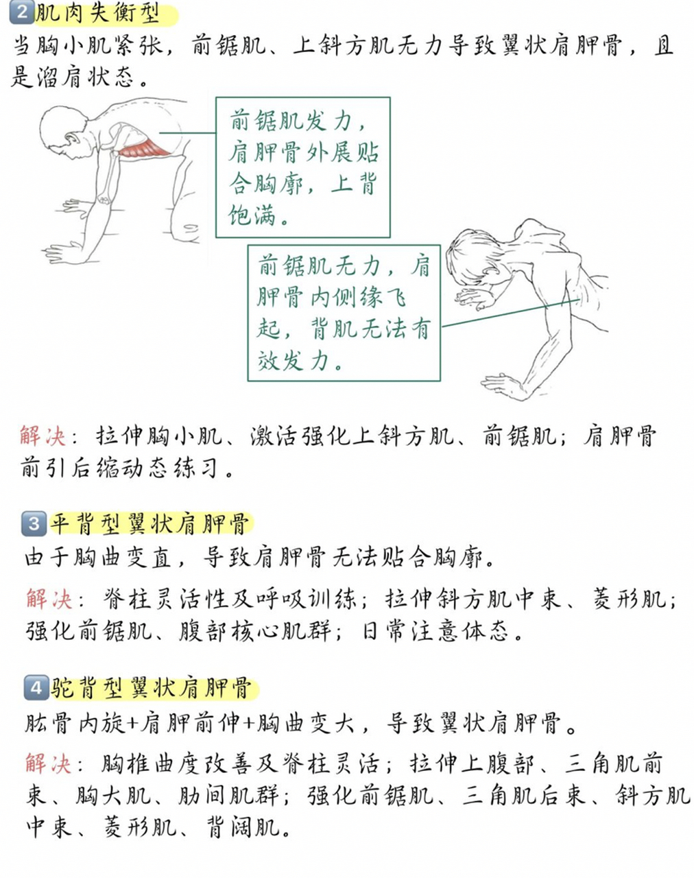 看这一篇就够了‼️ 翼状肩胛骨又被称为"天使之翼",肩胛骨内侧缘