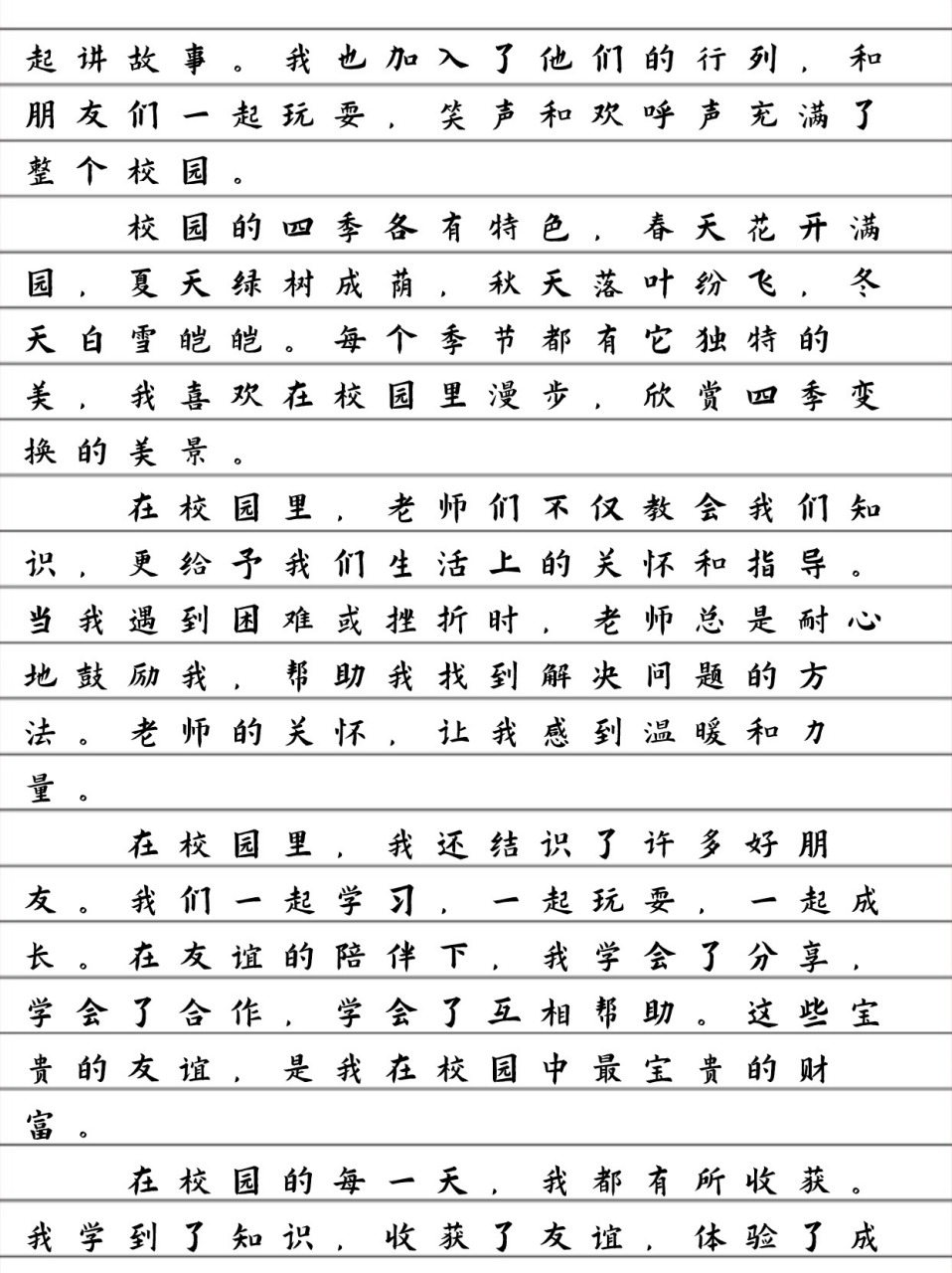 我的乐园学校作文图片