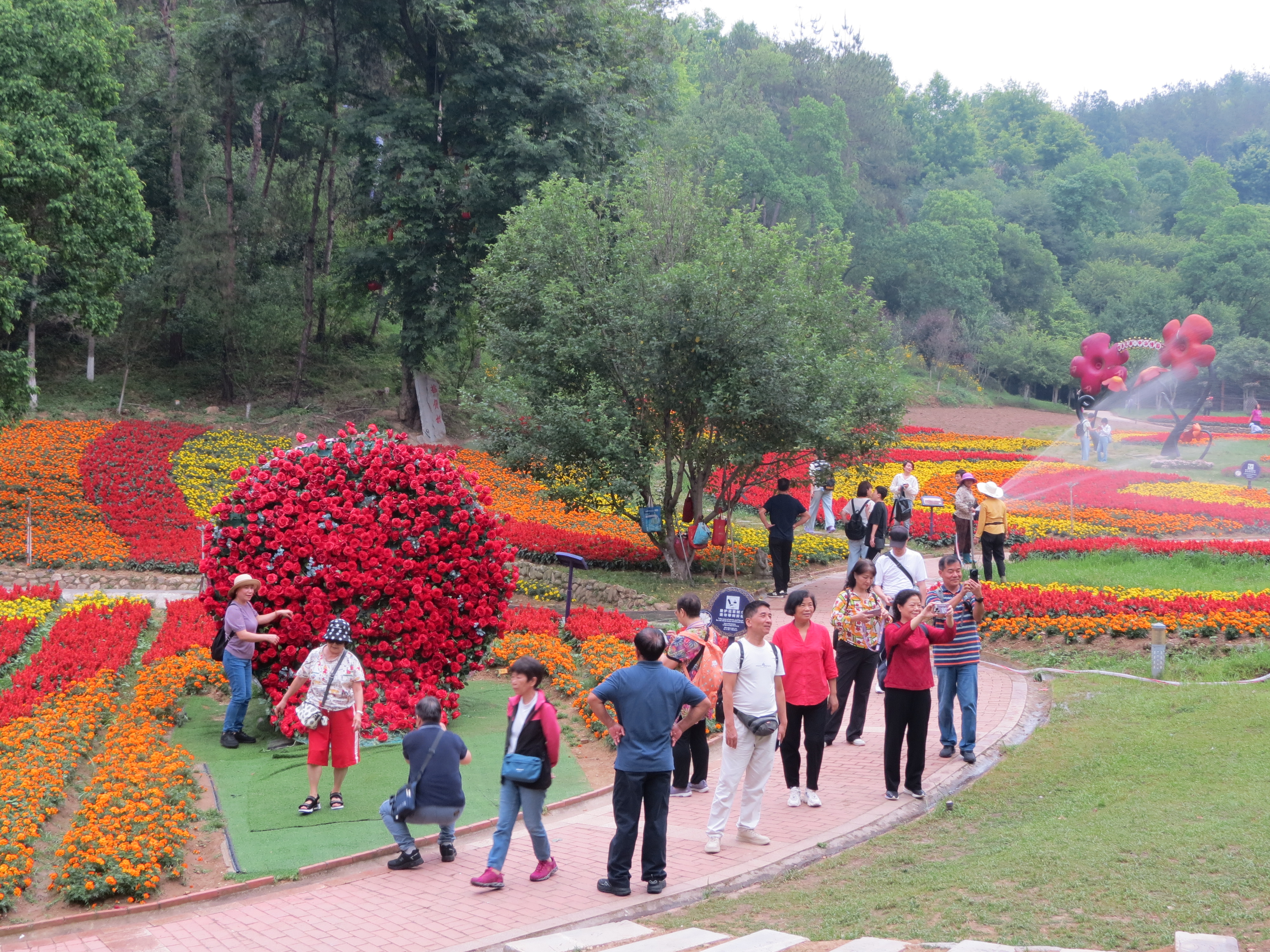粤港澳大湾区专列考察团走进英山四季花海