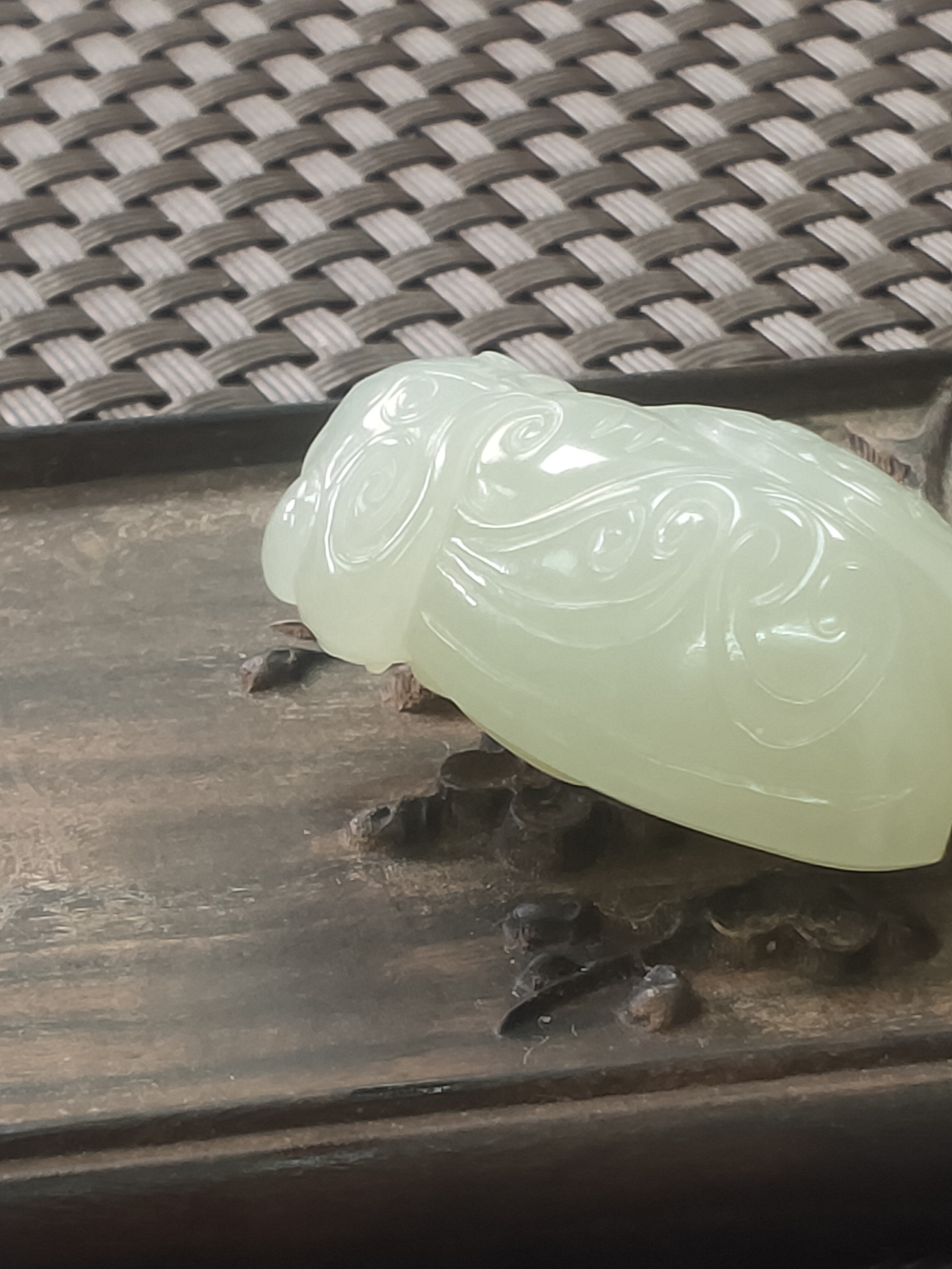 和田玉金蝉(一鸣惊人)