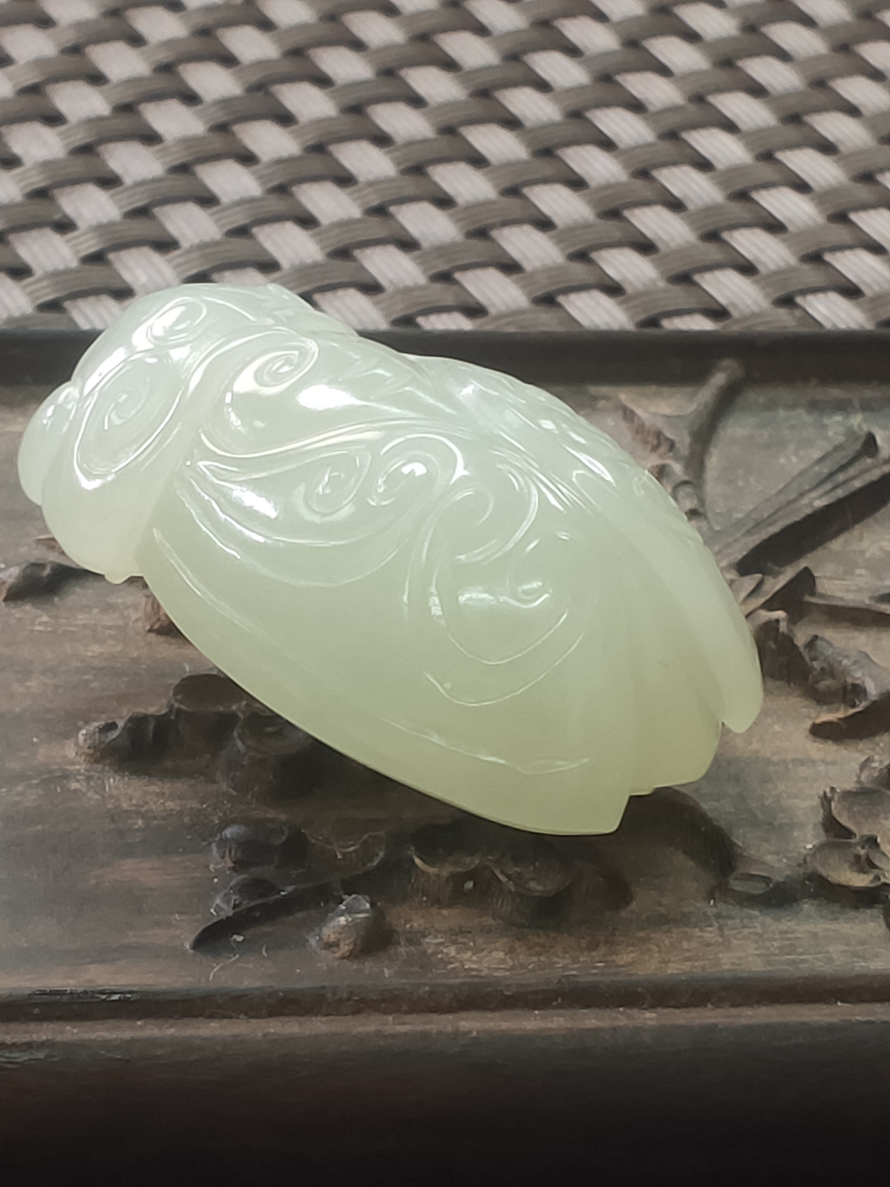 和田玉金蝉(一鸣惊人)