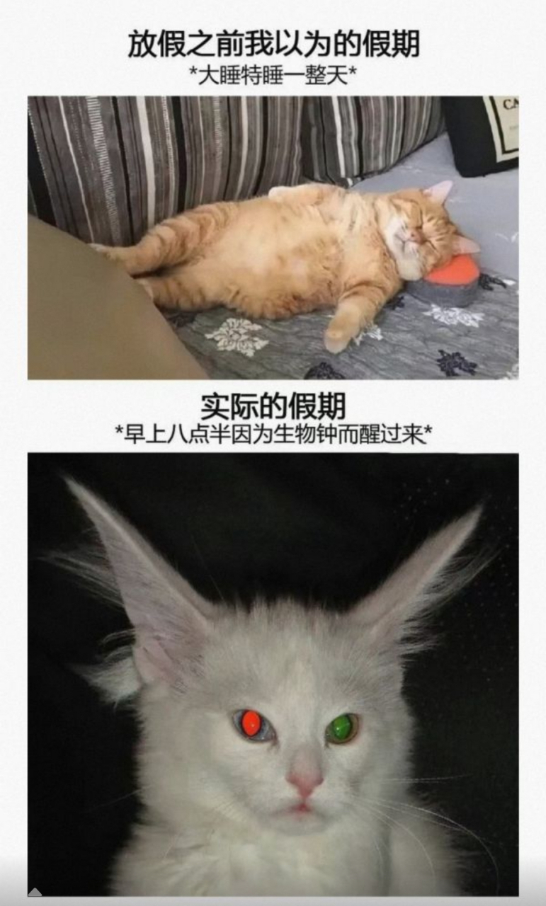 可怕的生物钟[嘻嘻]