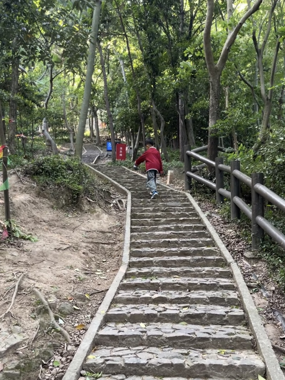 上海总共有多少座山?最高的又是哪座? 有人说,不就只有松郡九峰吗?