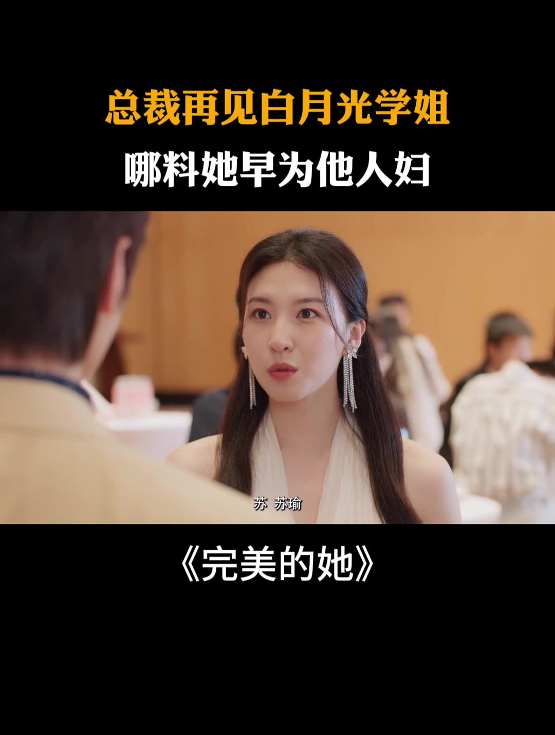 完美的他演员表图片