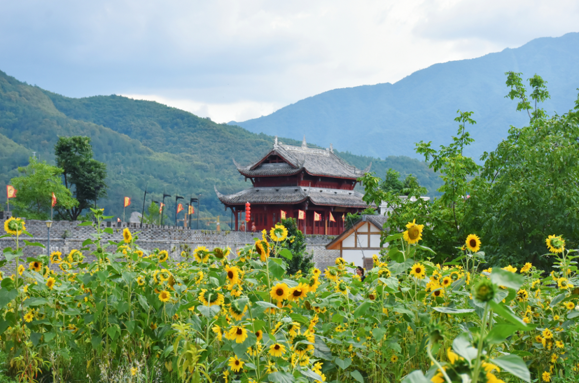 青川竹园镇卖婬图片