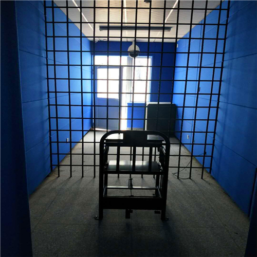 2006年马向东被执行死刑,临终告别妻子,泪洒现场手铐紧锁