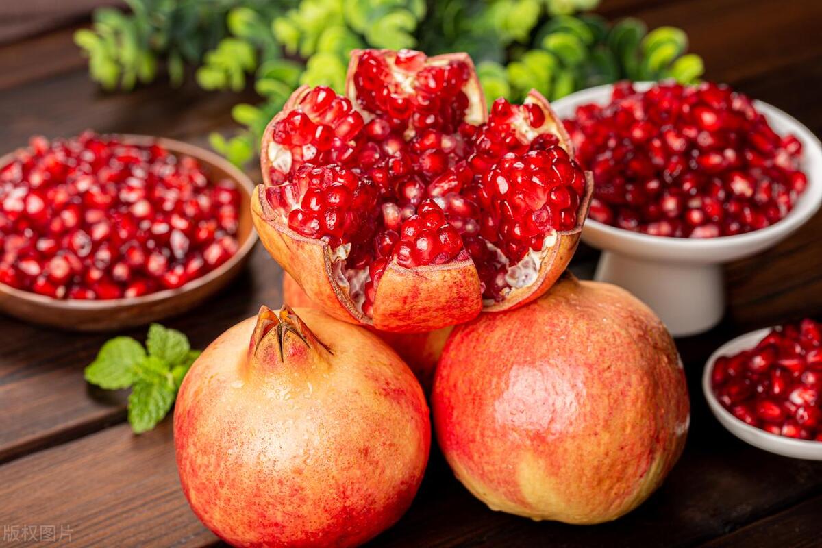 金元时,院栽石榴与盆栽石榴开始普及.