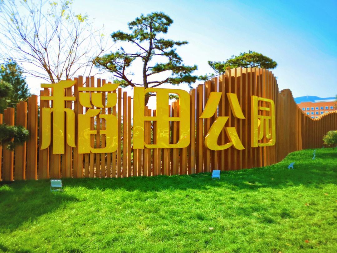 你知道吗?湖南郴州市有一个好玩的稻田公园,周末带上娃去玩吧