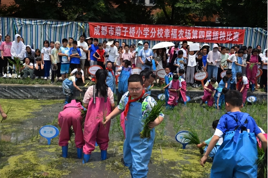 成都磨子桥小学图片