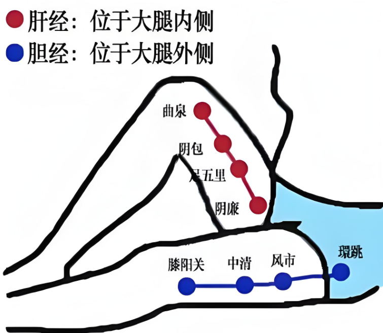 膝盖的经络图图片