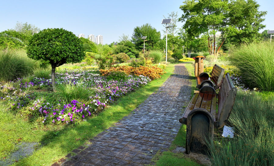 郑州国家森林公园夏日花景