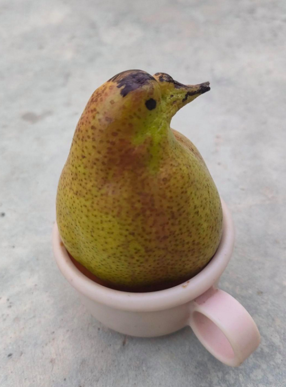 终于知道为啥叫鸭梨了,别说还挺像?