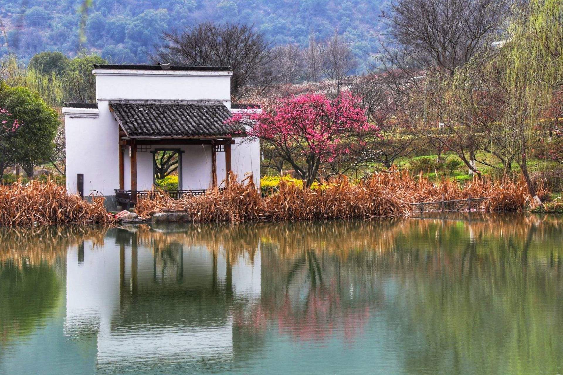 杭州超山风景区攻略图片