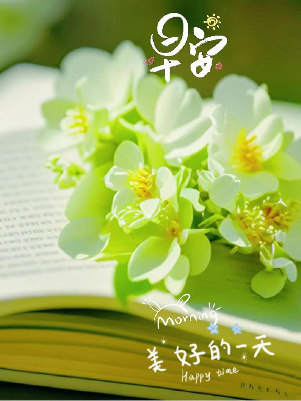 早安励志文案:相信努力,相信坚持,没有白走的路 1,太阳引领白昼,照亮