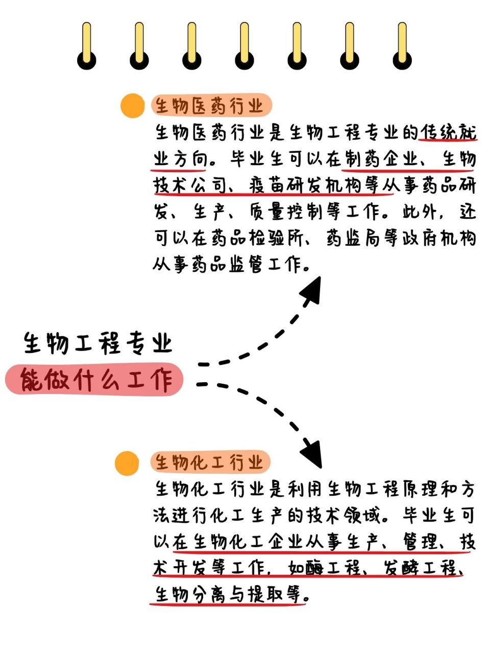 11566 生物医药行业大热门:这里可是生物工程专业的传统"领地"哦