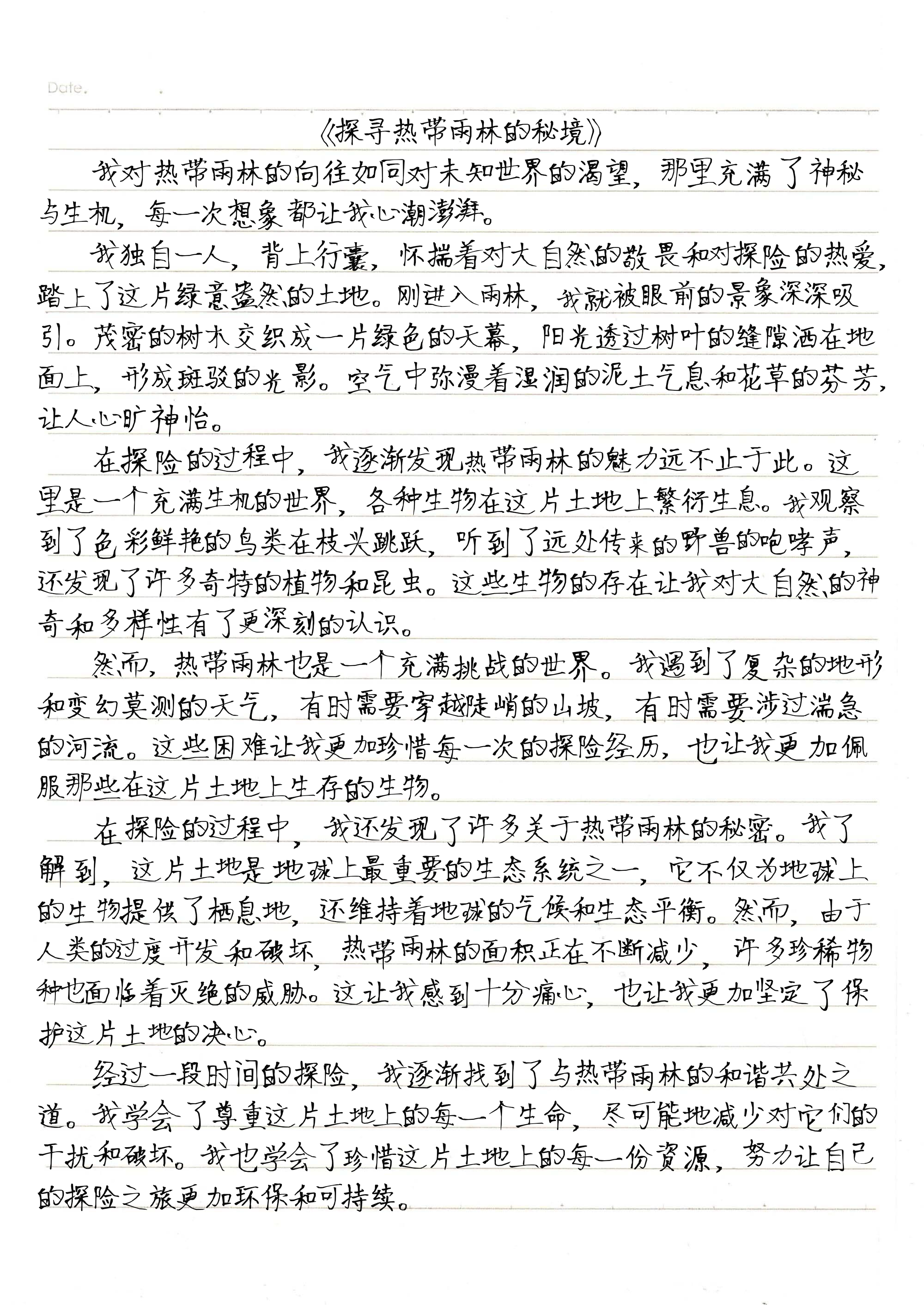 热带雨林探险作文