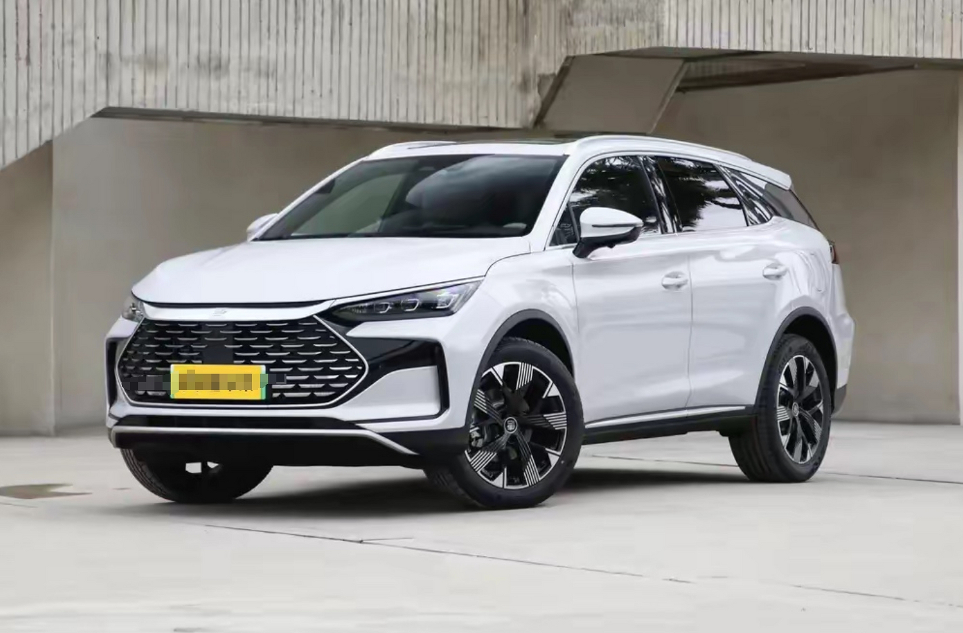 这几天看了比亚迪,唐dmi110尊贵型和宋 plusdmi150公里旗舰型请问这两