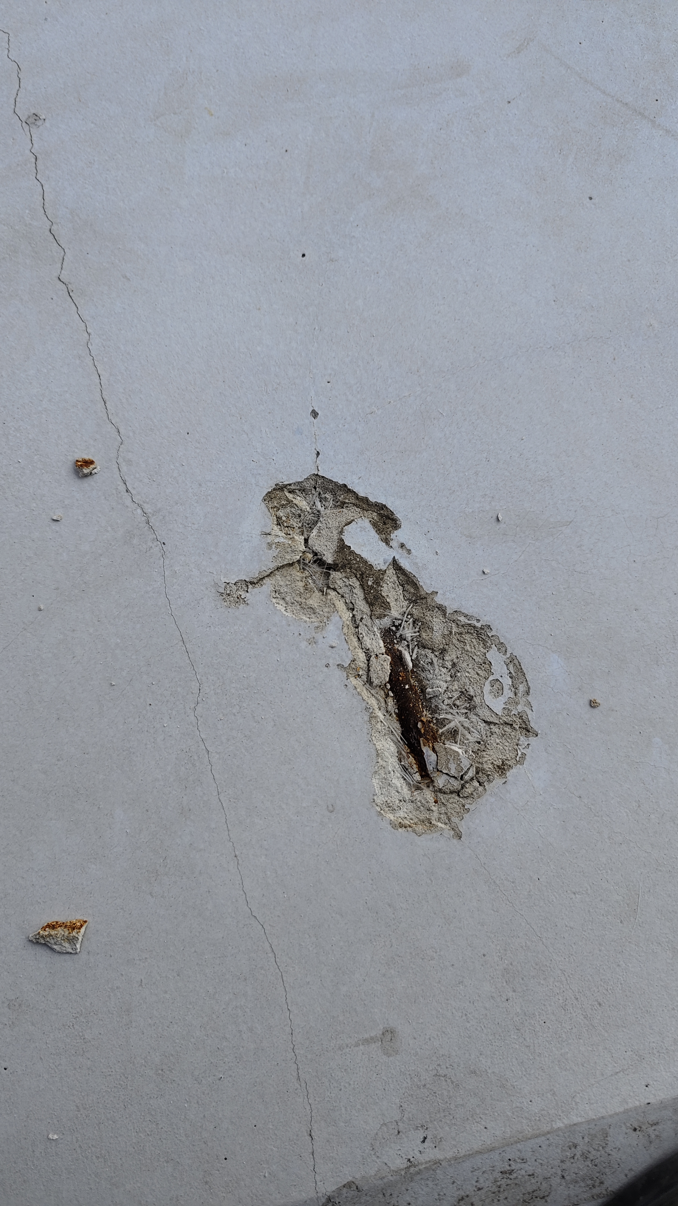 动态连更挑战# 在透光混凝土和清水混凝土表面用涂料来制作装饰面是 