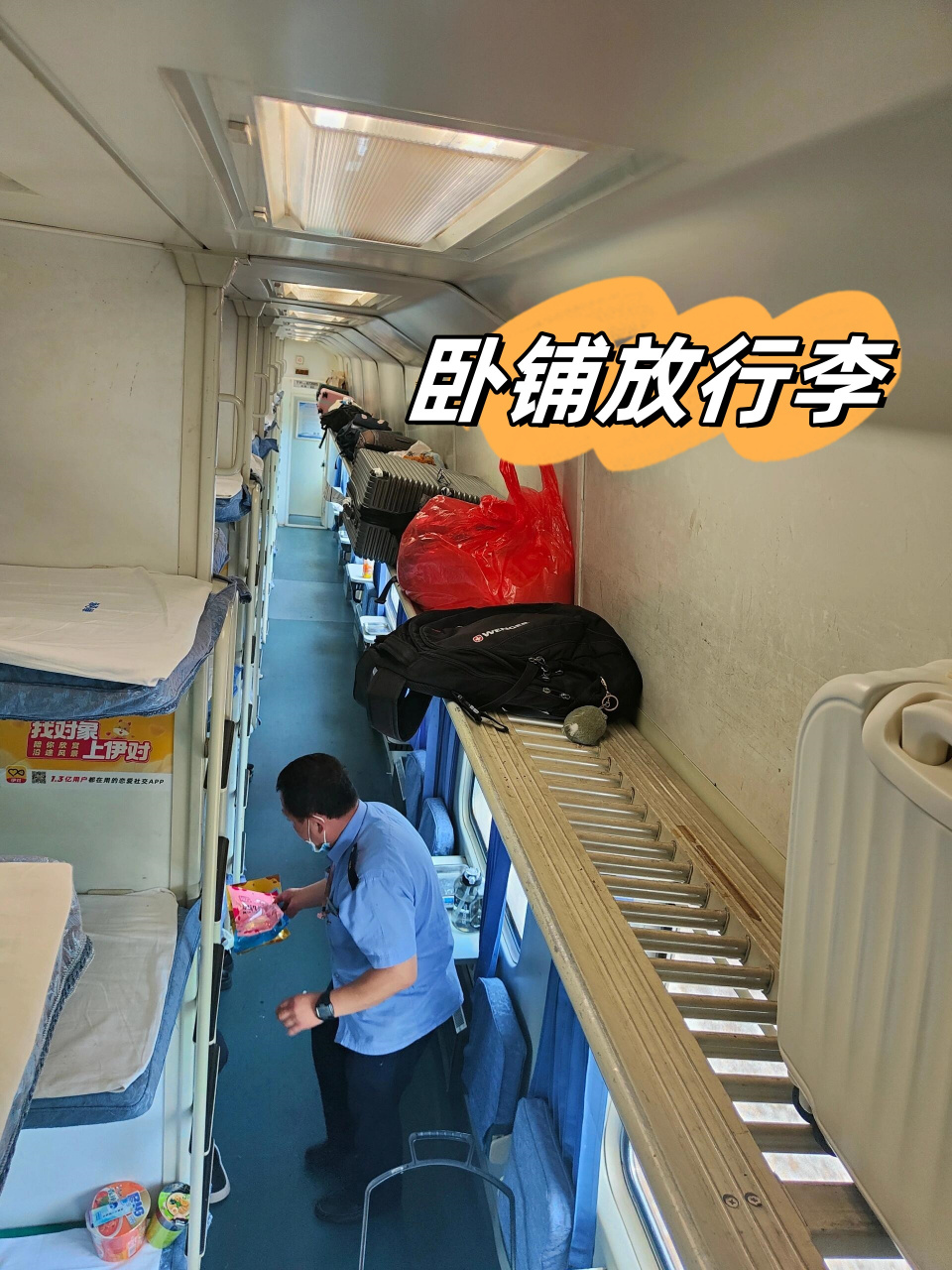 它就像地面上的"飞毛腿"