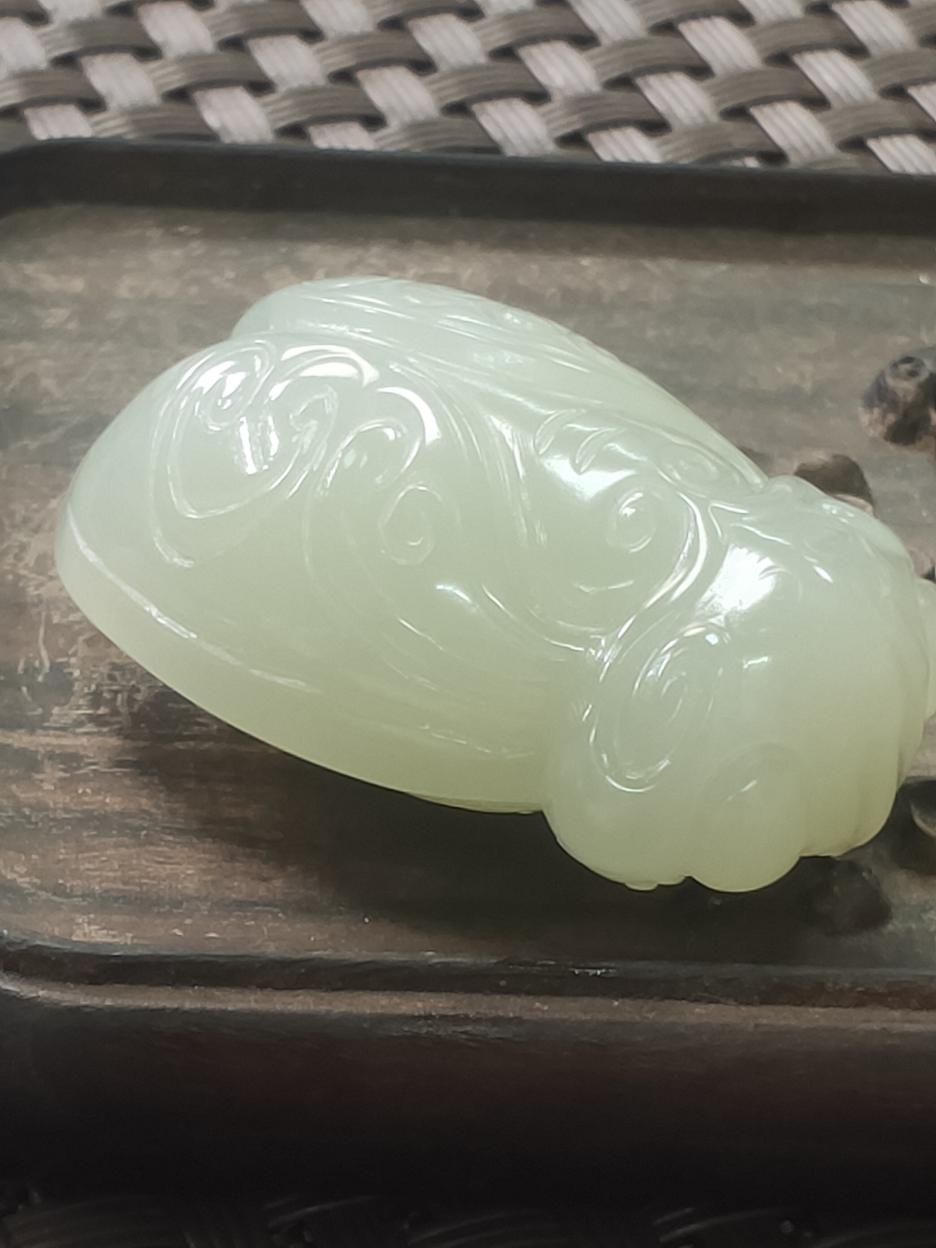 和田玉金蝉(一鸣惊人)