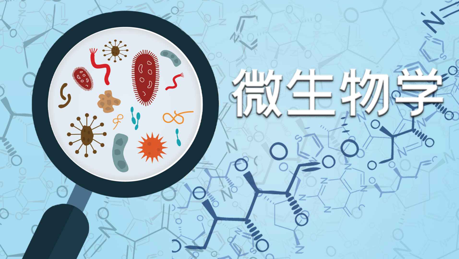 海洋原核微生物图片