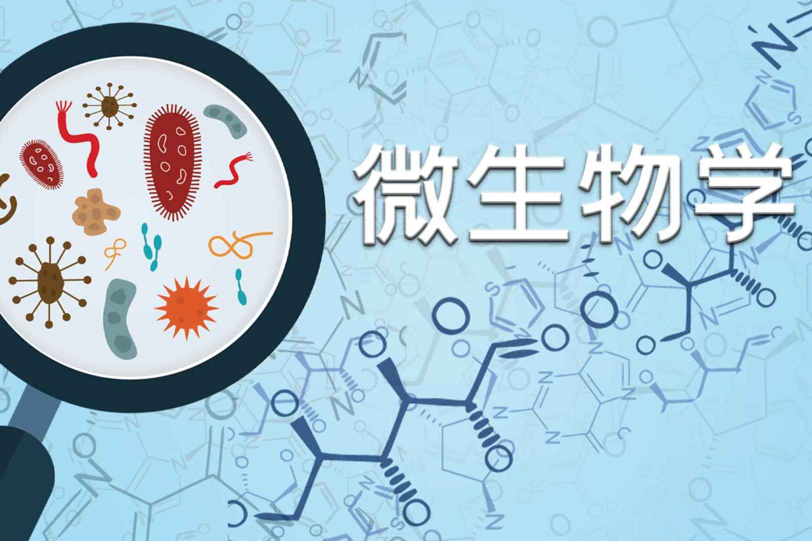 多所高校设有微生物学专业,各具特色