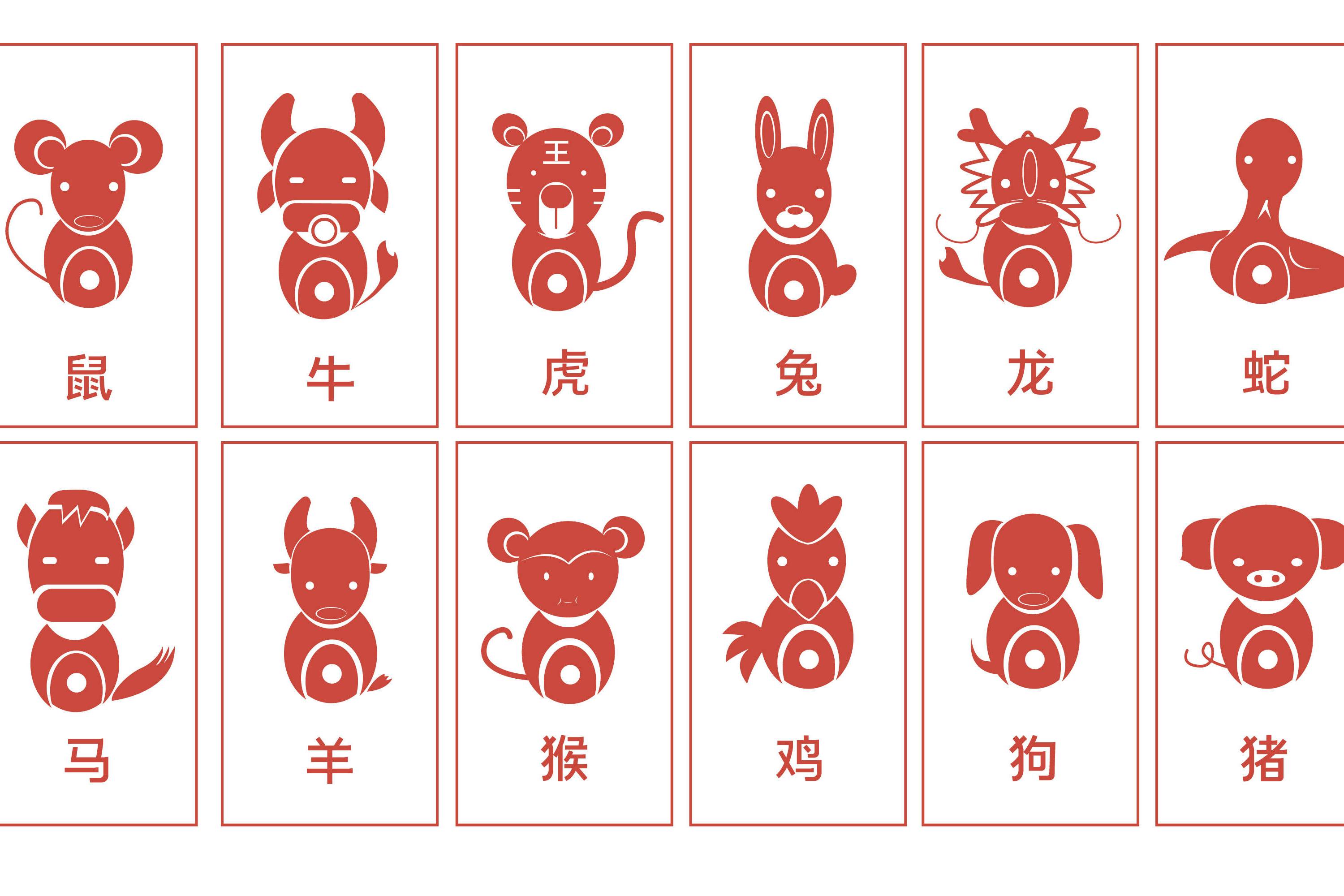 2028年的十二生肖运势(2028年运势如何)