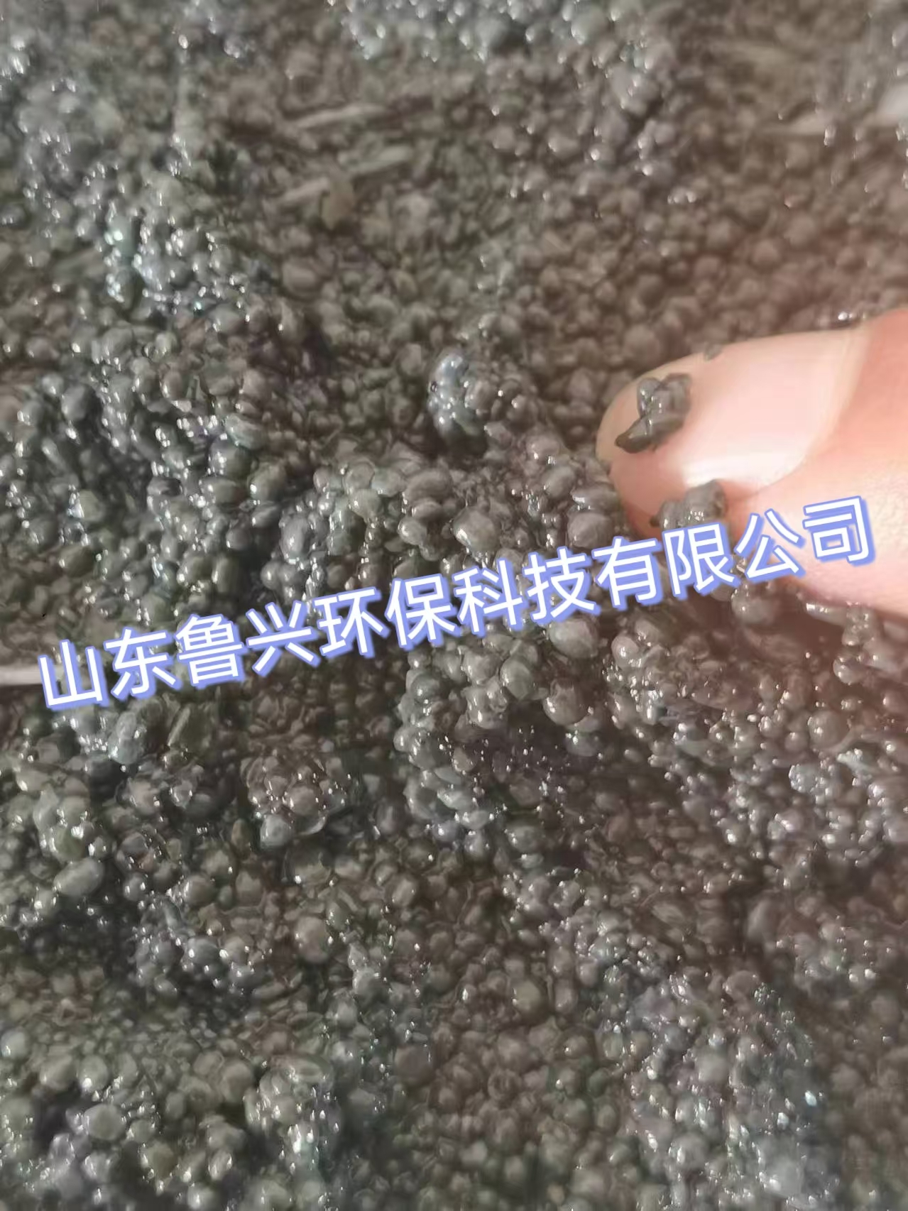 厌氧颗粒污泥有什么特点?