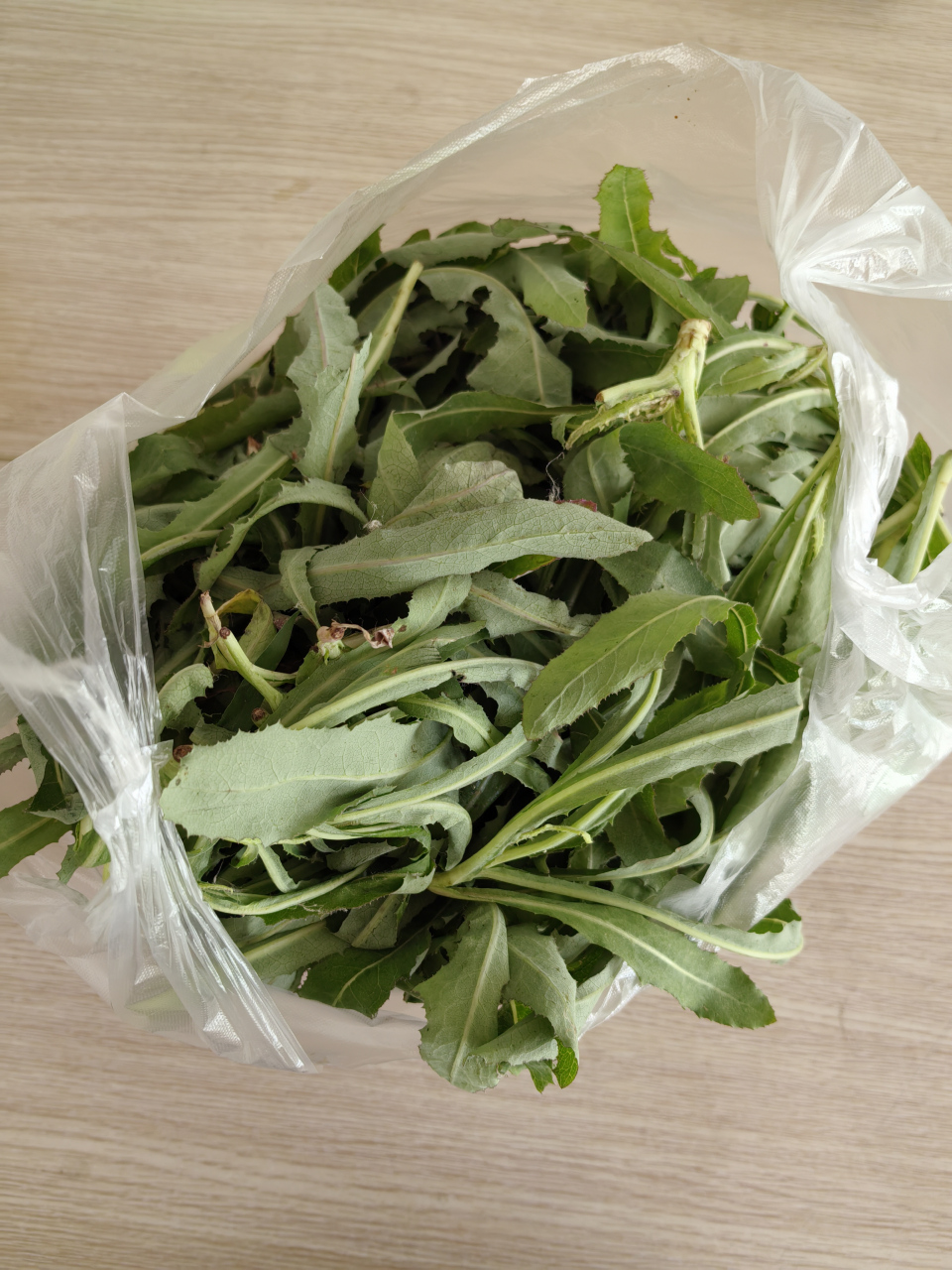 她说叫"曲曲菜",用热水焯下,凉拌很好吃.