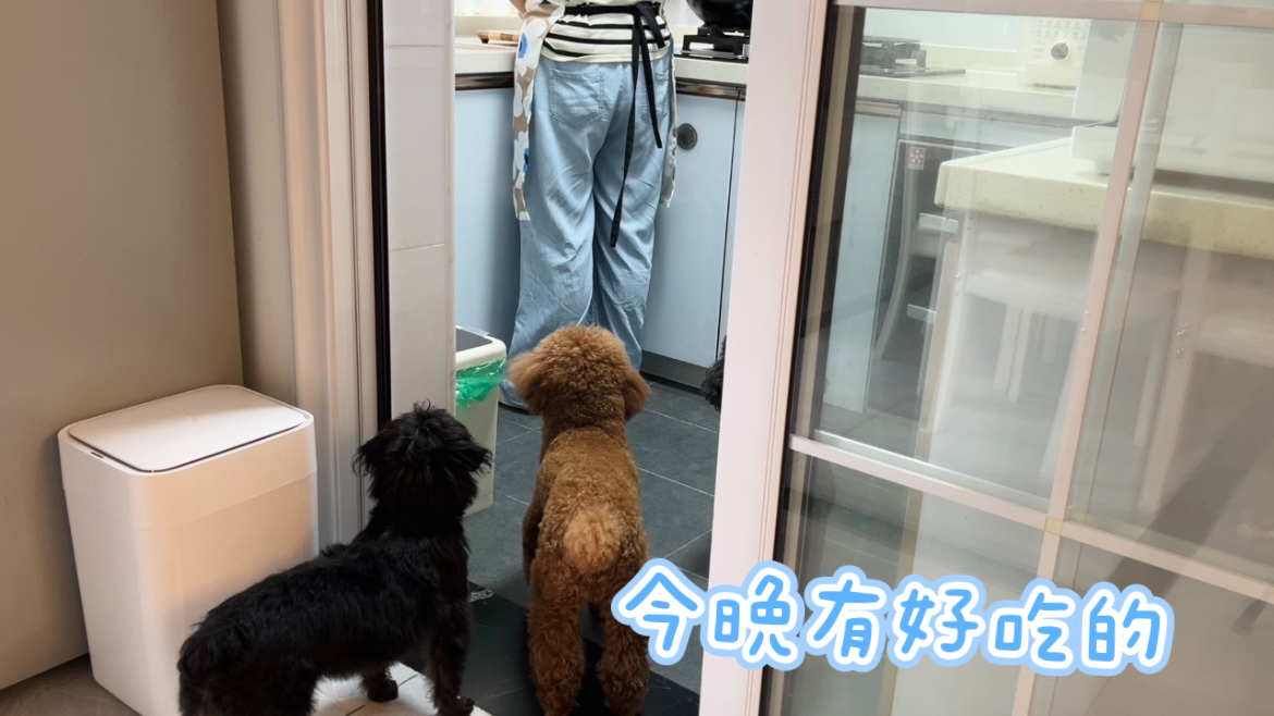 我做的牛腩面不爱吃面食的广东老公吃了一大碗,做牛腩面简单好吃