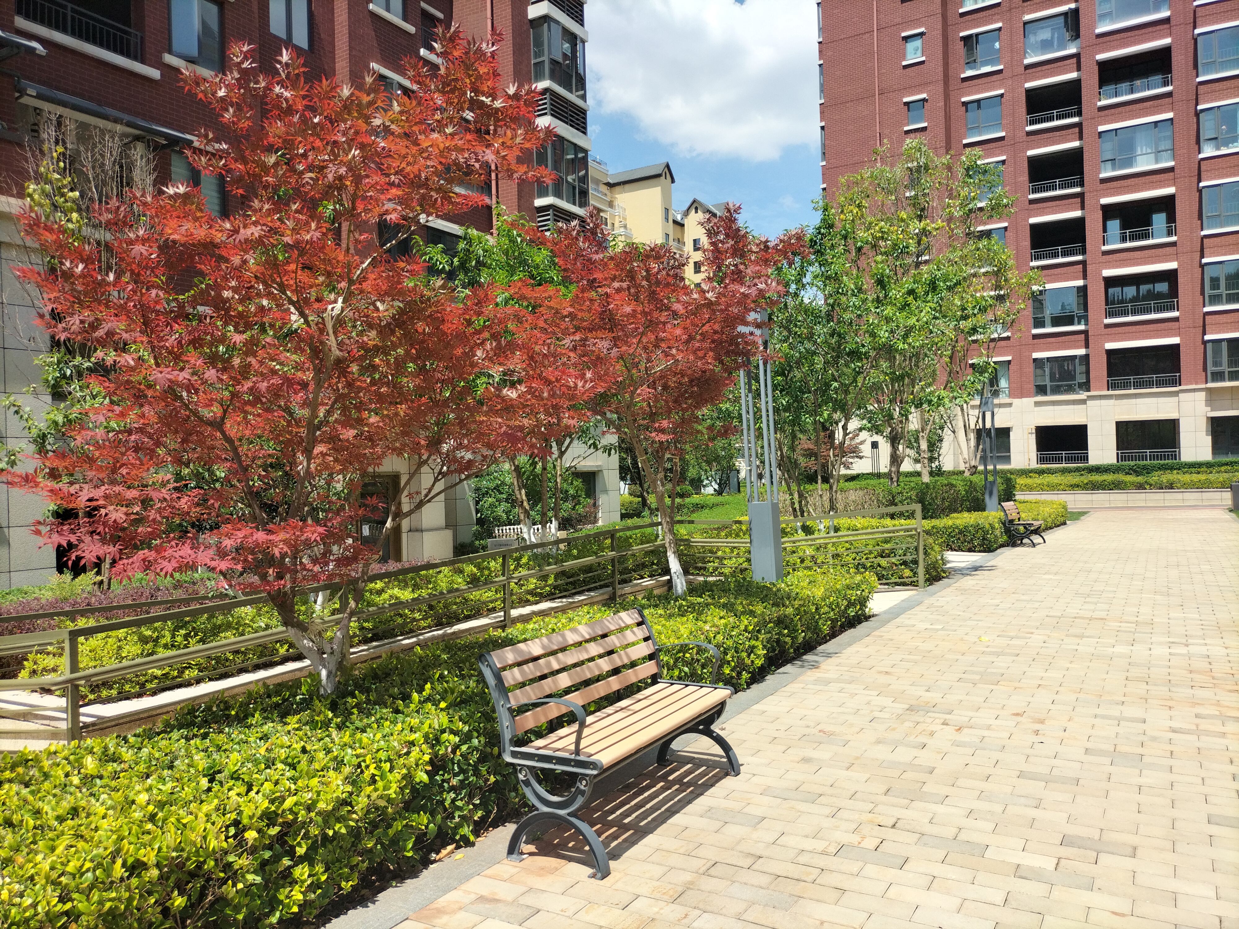 ①从皮肤看有三种人:黑皮肤,黃皮肤,白皮肤