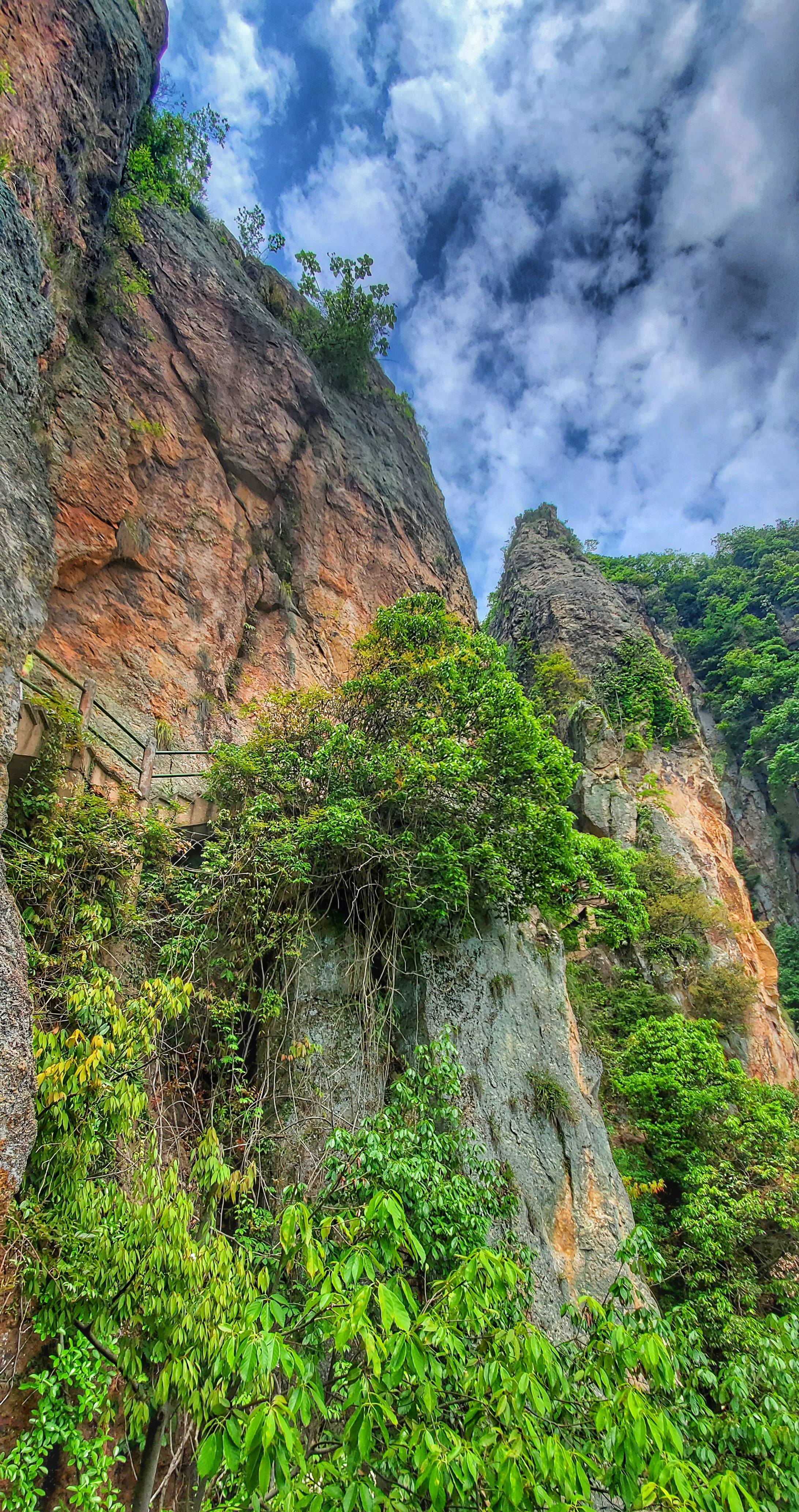 仙华山为国家4a级景区,茂林修竹,尤以山顶峰林的"奇,险,旷,幽"为