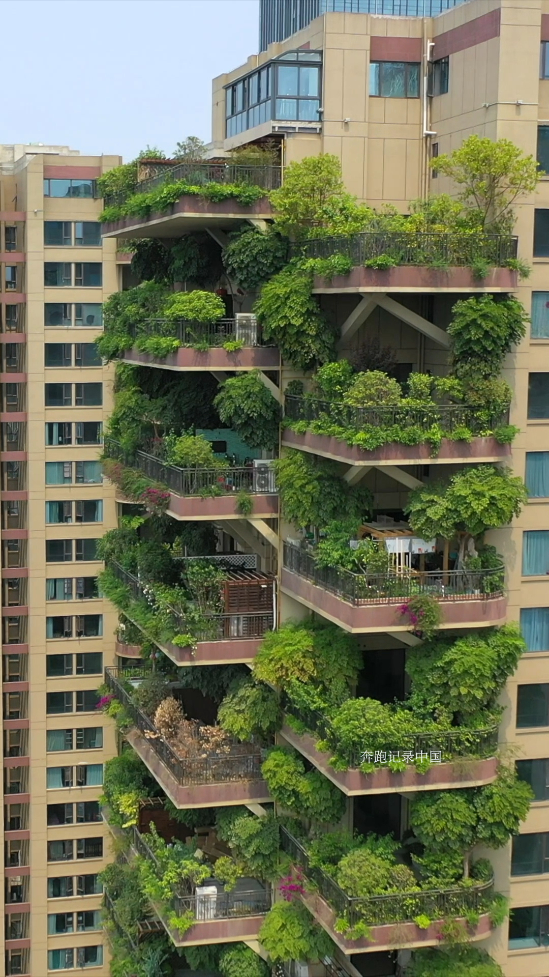 第四代网红住宅,家家户户都有空中花园,这样的房子你喜欢吗?