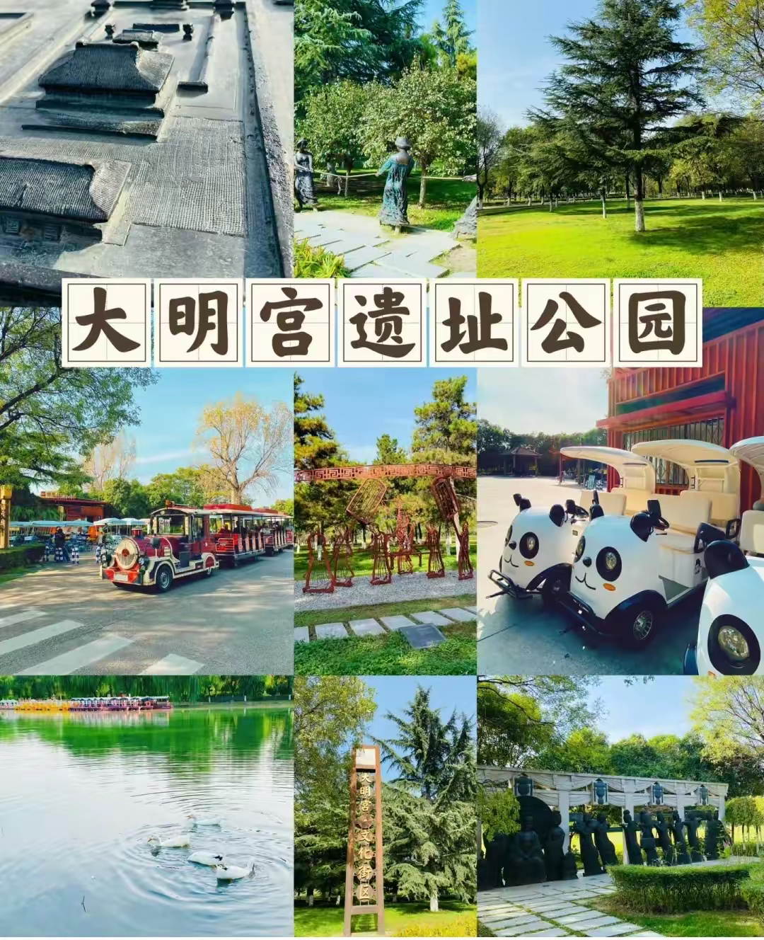 西安大明宫遗址公园免票政策深度剖析:这5类人员可享免费