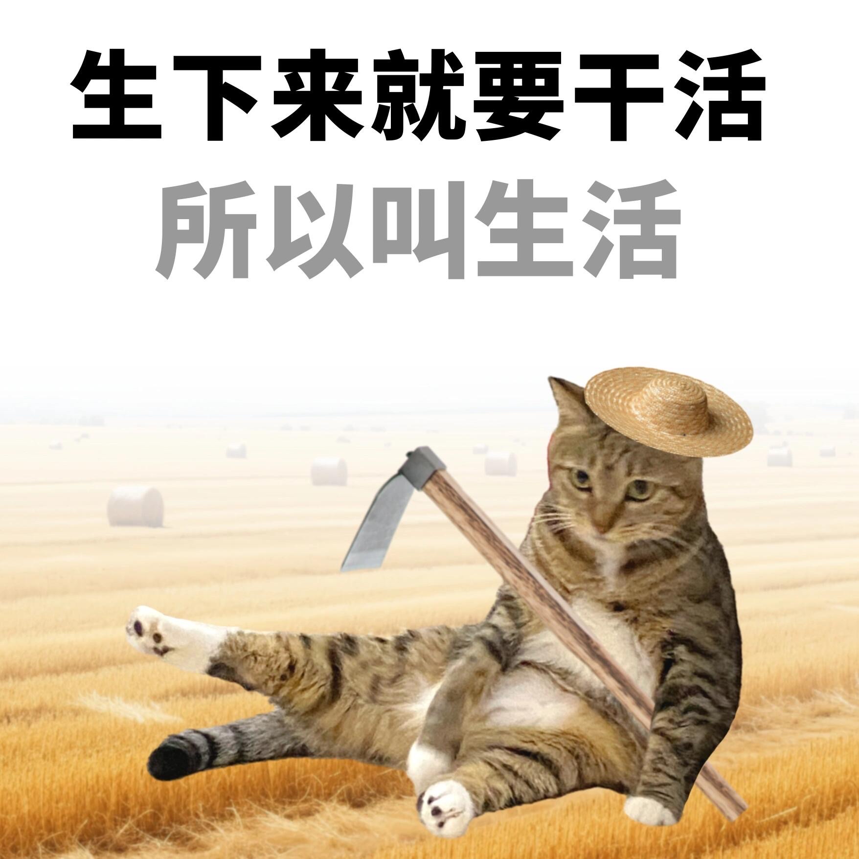 生下来就要干活,所以叫生活人每天工作都很烦,所以叫凡人人每天活着都