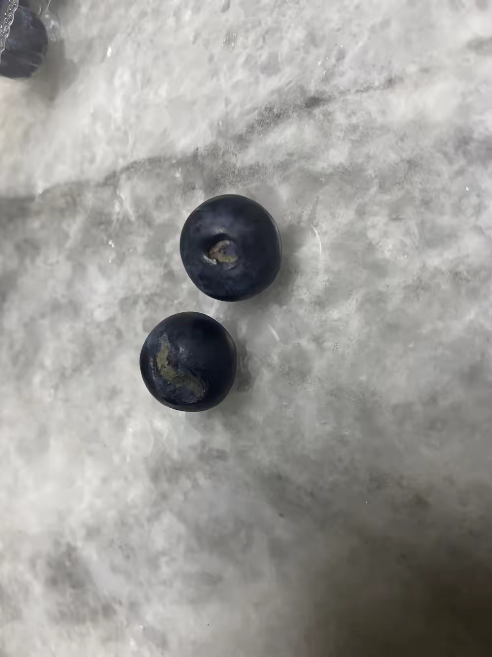 之前买了一盒菠萝蜜也是在中间发现几蓝莓发霉图片蓝莓坏了的图片蓝莓
