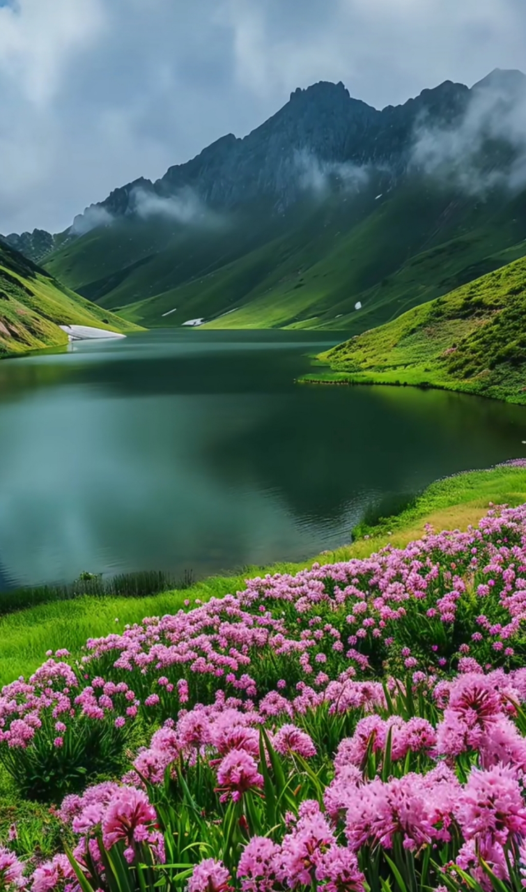 这风景很美哦0606  #一起和你看世界# #高考起航梦想生活