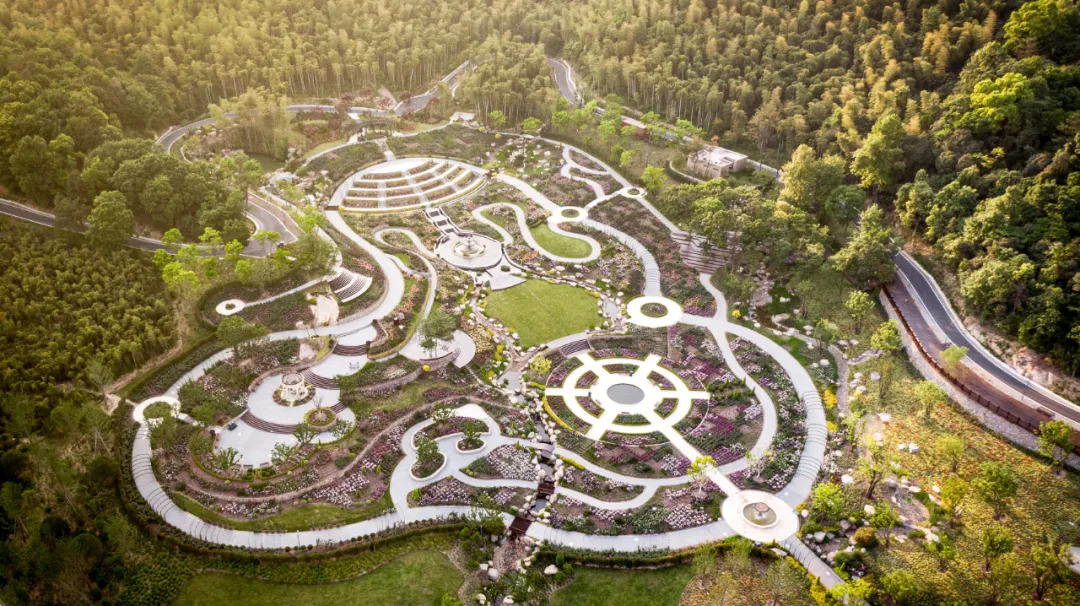 上渚山奇幻谷 在这个温柔明媚的五月,来上渚山奇幻谷的奥斯汀月季园